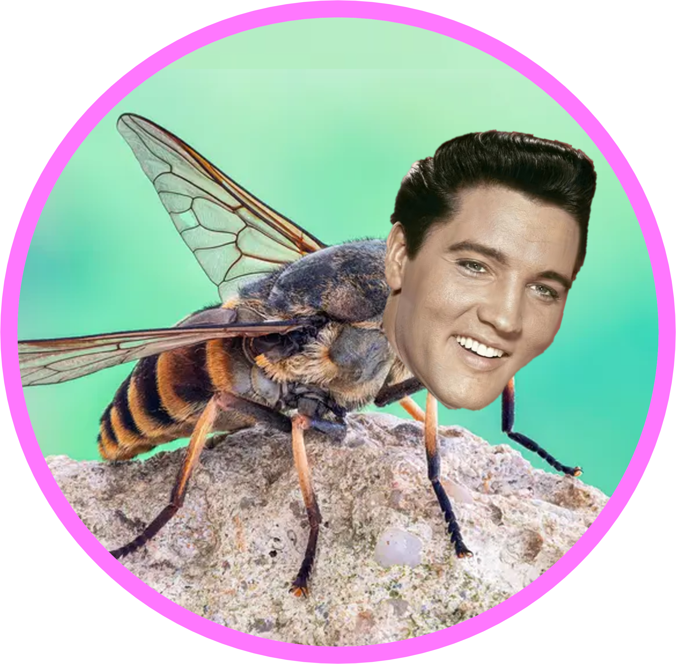 $ELVIS logo